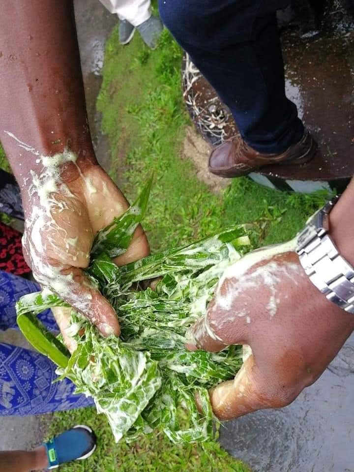São Tomé e Príncipe — fotografia 7