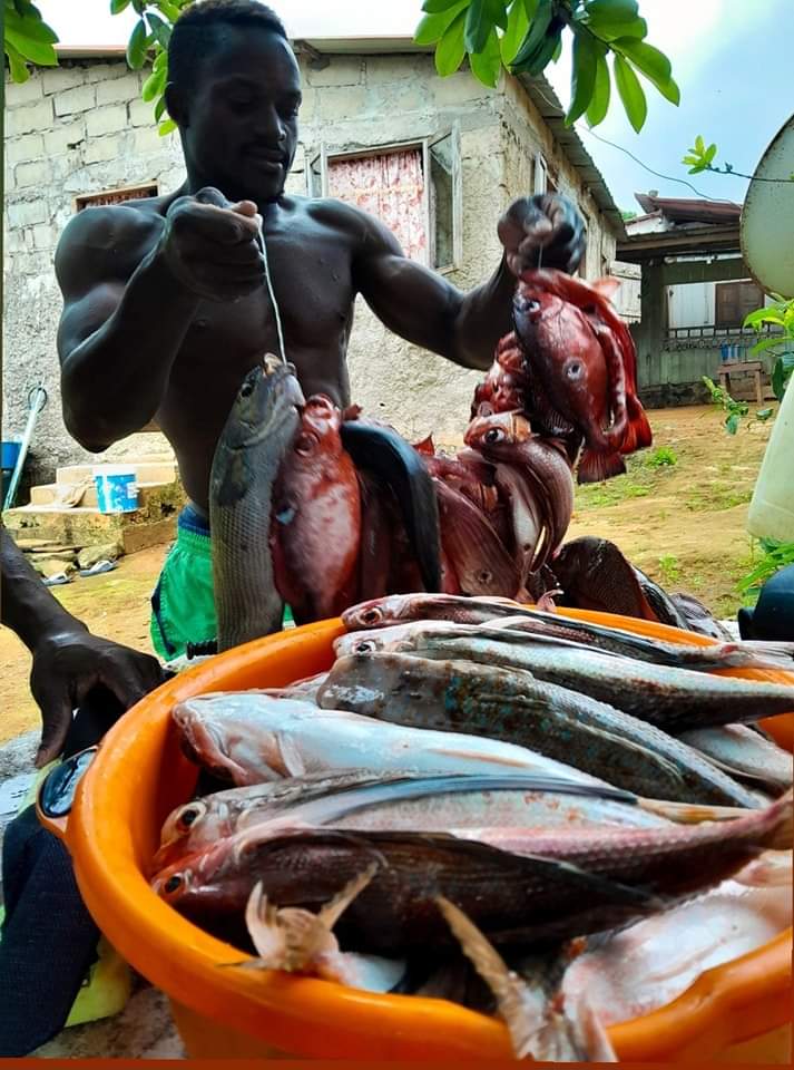São Tomé e Príncipe — fotografia 18